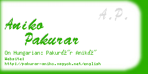 aniko pakurar business card